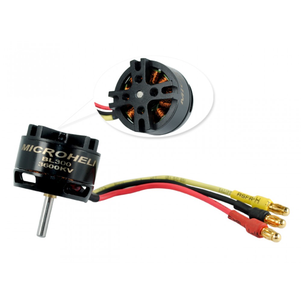 Brushless Motor 3600KV