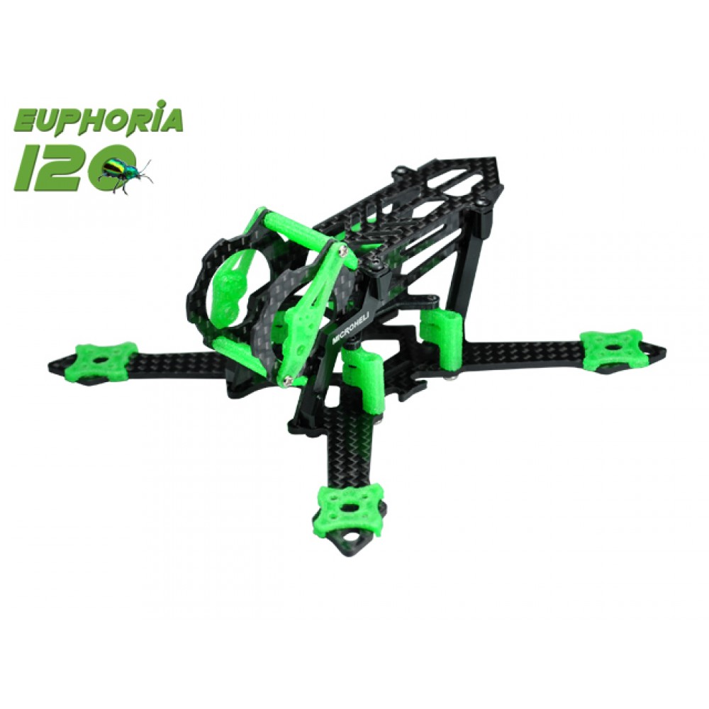 EUPHORIA 120 Racing Frame Kit (GREEN)